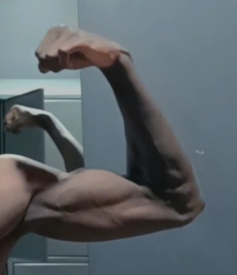 Profil de Hachim, 27 ans, Gay male à Bâle (Bâle-Ville)